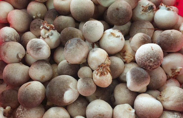 z7493053199378_8523970ff554b958127d165fae9861ac