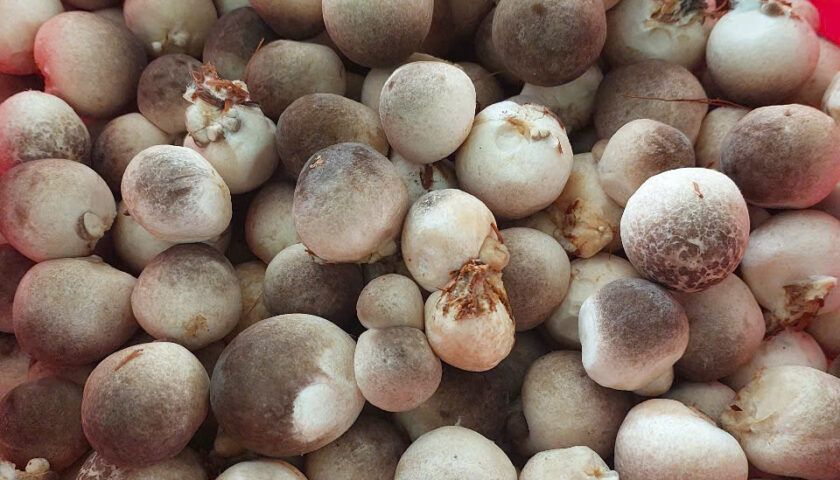 z7493053199378_8523970ff554b958127d165fae9861ac