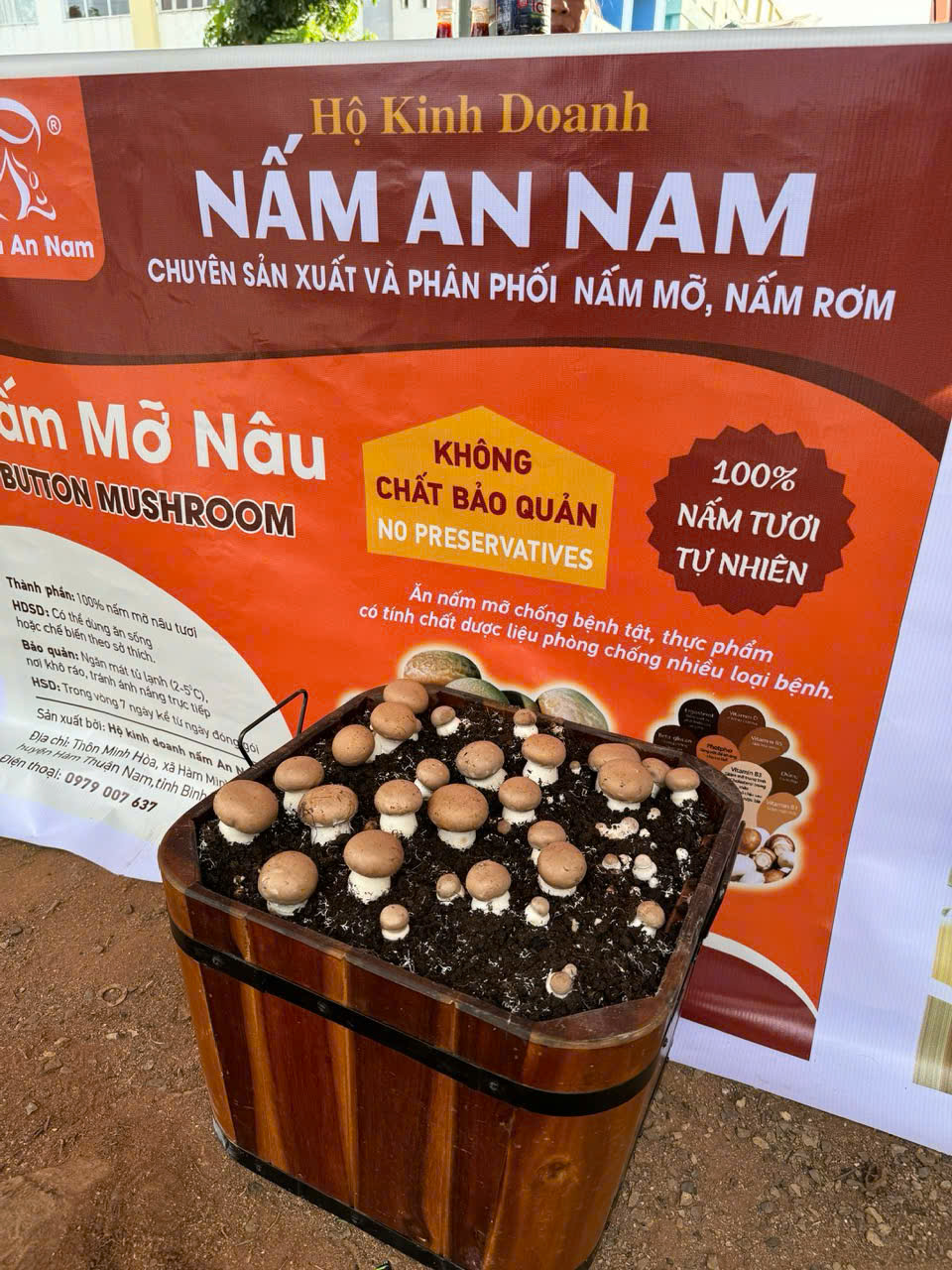 BẾP AN NAM – Hành Trình Xây Dựng Bếp Ăn Chay Cộng Đồng Đủ Chất Và An Toàn