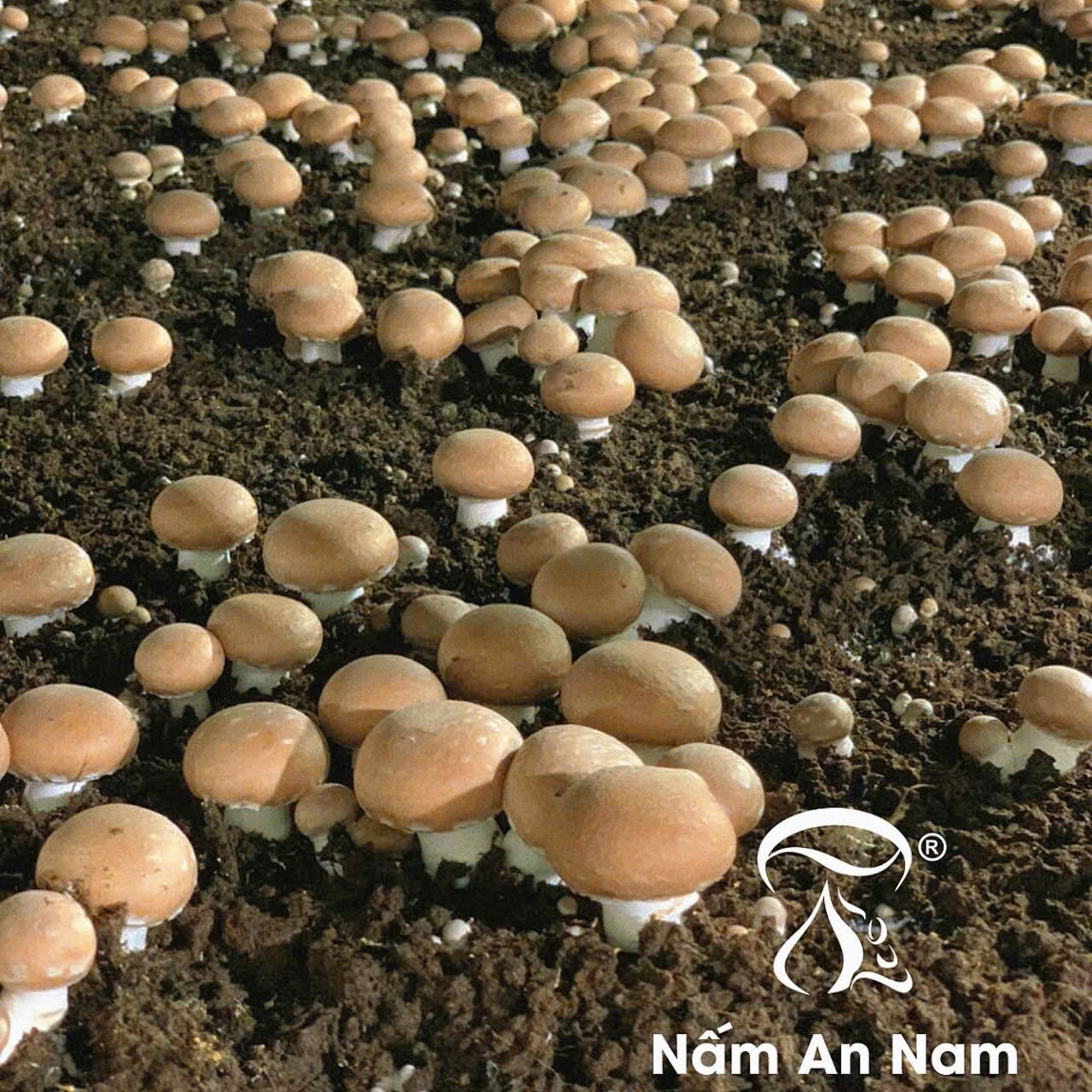 z7493114102624_0a48d57925e5b885ddaeaa5028a9be43