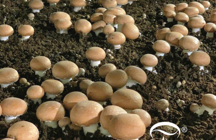 z7493114102624_0a48d57925e5b885ddaeaa5028a9be43