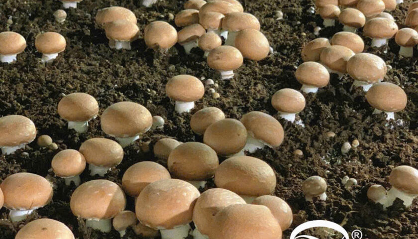 z7493114102624_0a48d57925e5b885ddaeaa5028a9be43