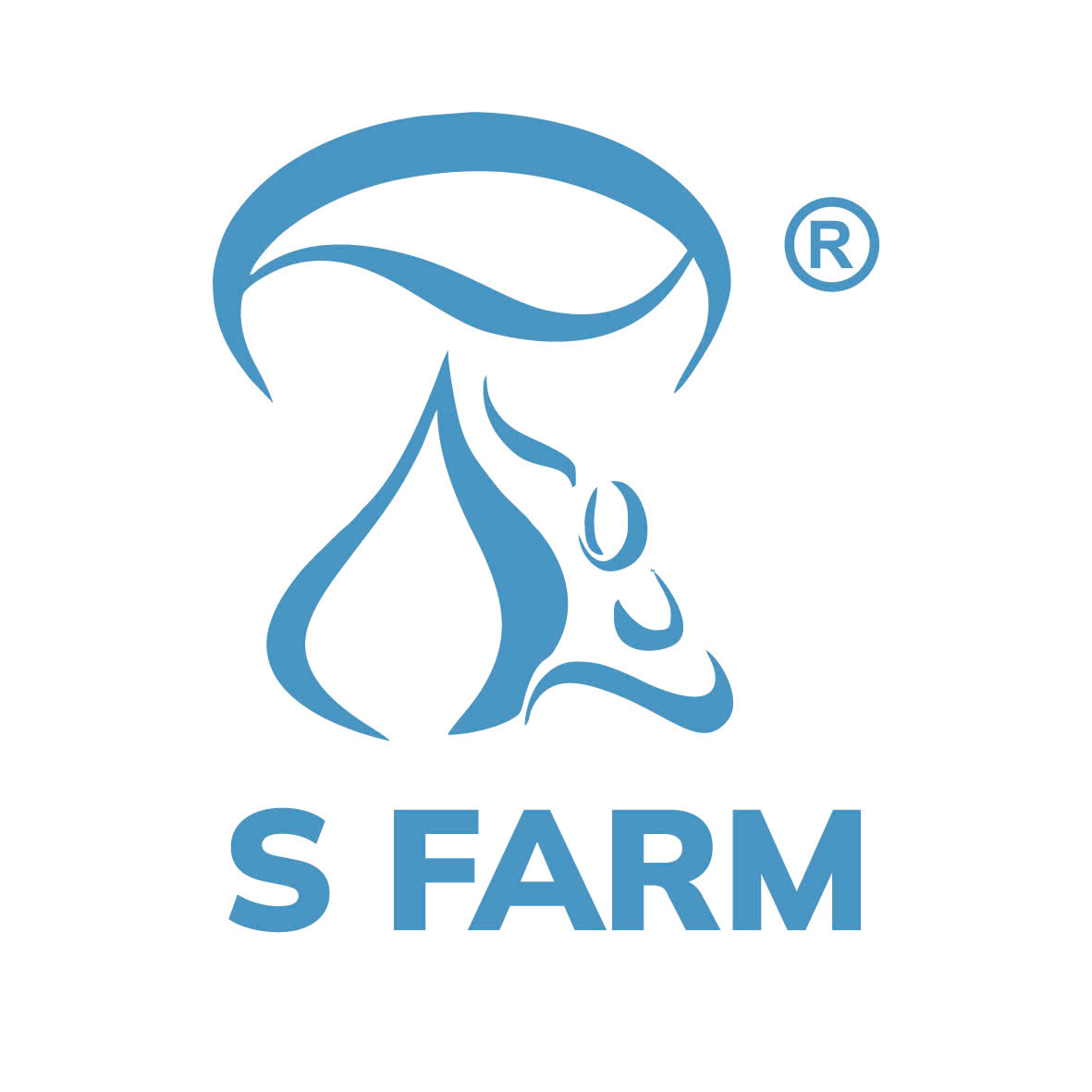 z7493794808375_e560341a1778ad9fc544efa14b6c0c3d